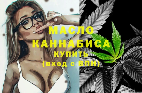 гашик Арсеньев