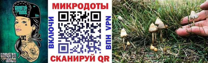 Галлюциногенные грибы Psilocybe  Маркс 